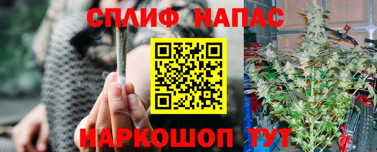 Бошки Шишки ГИДРОПОН  Каннабис OG Kush  Бошки Шишки семена  Вход с VPN  Сыктывкар 